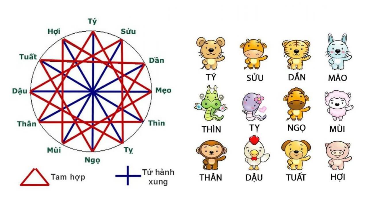 Các tuổi tam hợp