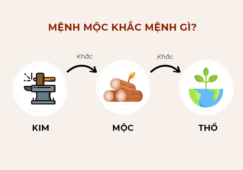 Người mệnh Mộc hợp mệnh gì, khắc mệnh gì trong tình duyên?