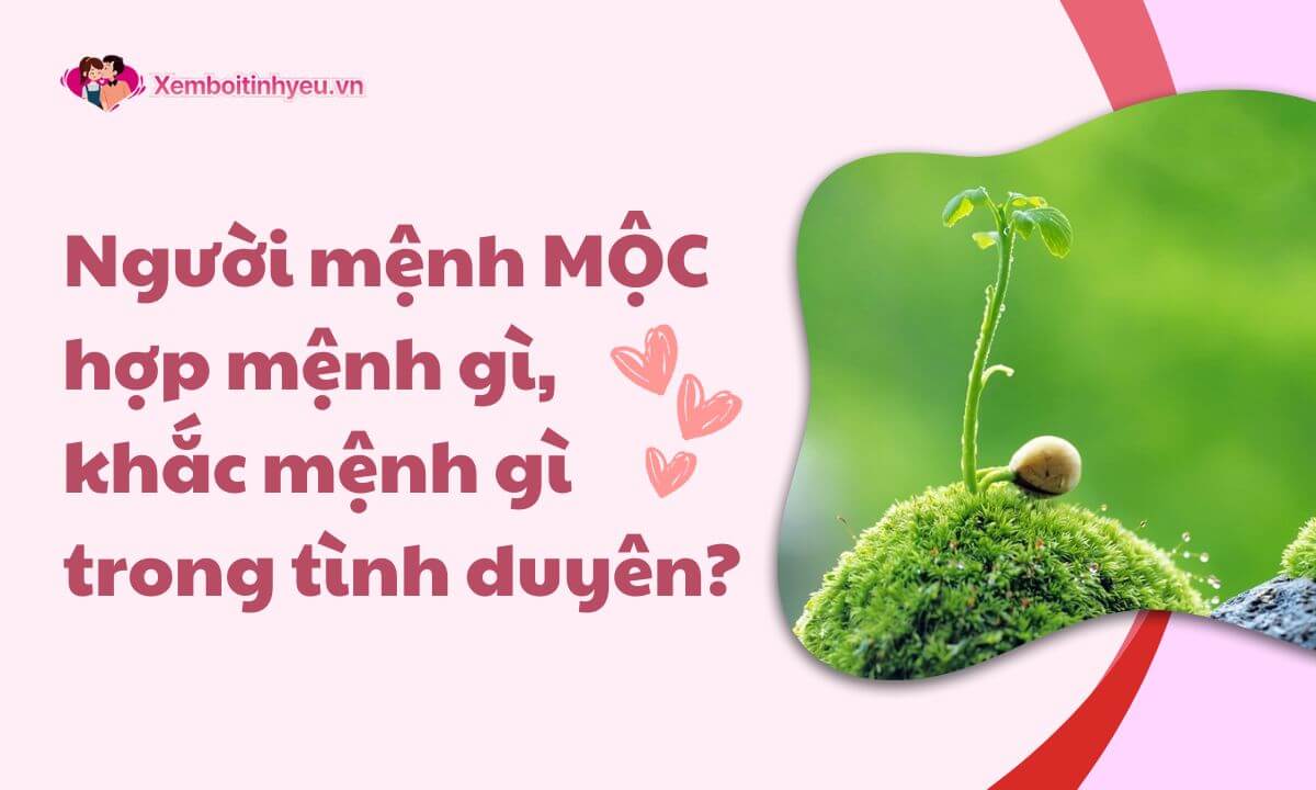 Người mệnh Mộc hợp mệnh gì, khắc mệnh gì trong tình duyên?