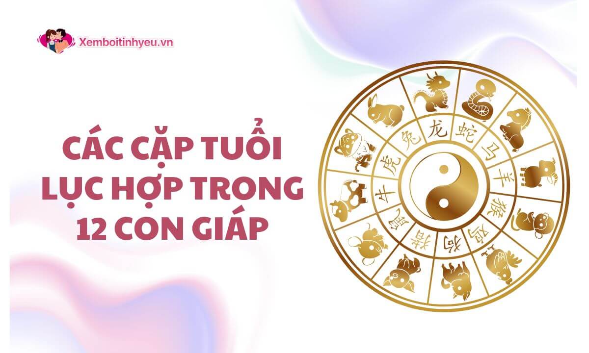 Tuổi lục hợp là gì