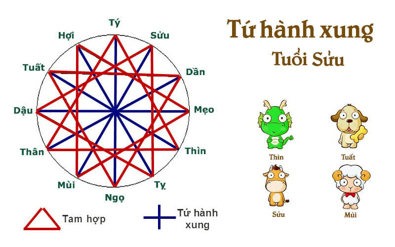 Tuổi Sửu hợp và khắc với tuổi nào trong chuyện tình duyên?