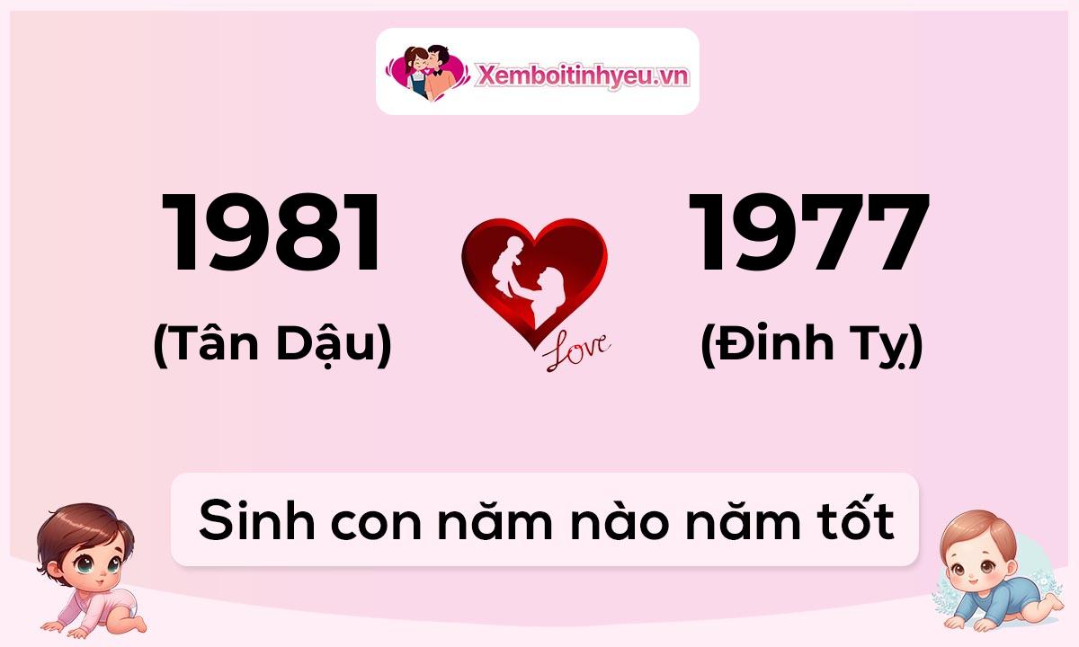 Chồng 1981 tuổi Tân Dậu và vợ 1977 tuổi Đinh Tỵ sinh con năm nào tốt