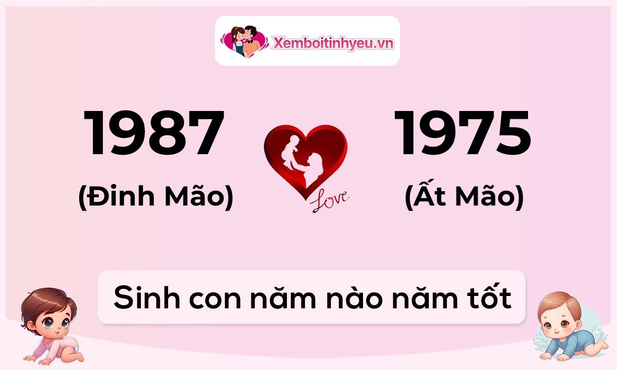 Chồng 1987 tuổi Đinh Mão và vợ 1975 tuổi Ất Mão sinh con năm nào tốt