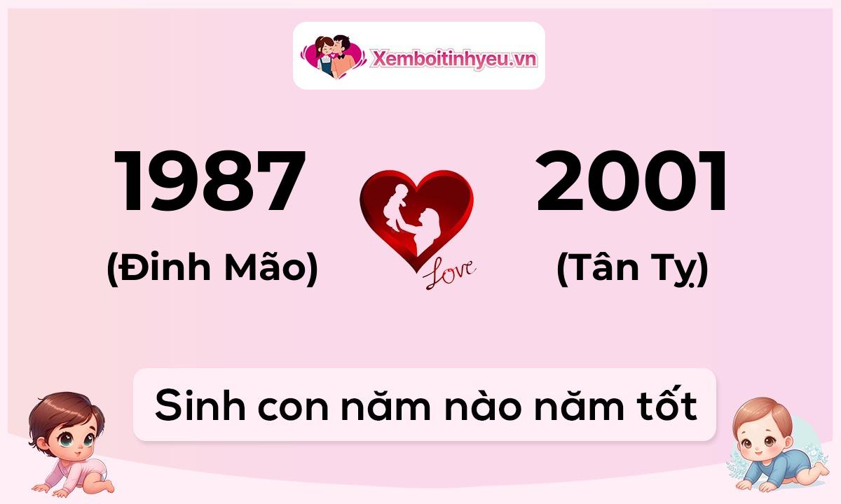 Chồng 1987 tuổi Đinh Mão và vợ 2001 tuổi Tân Tỵ sinh con năm nào tốt