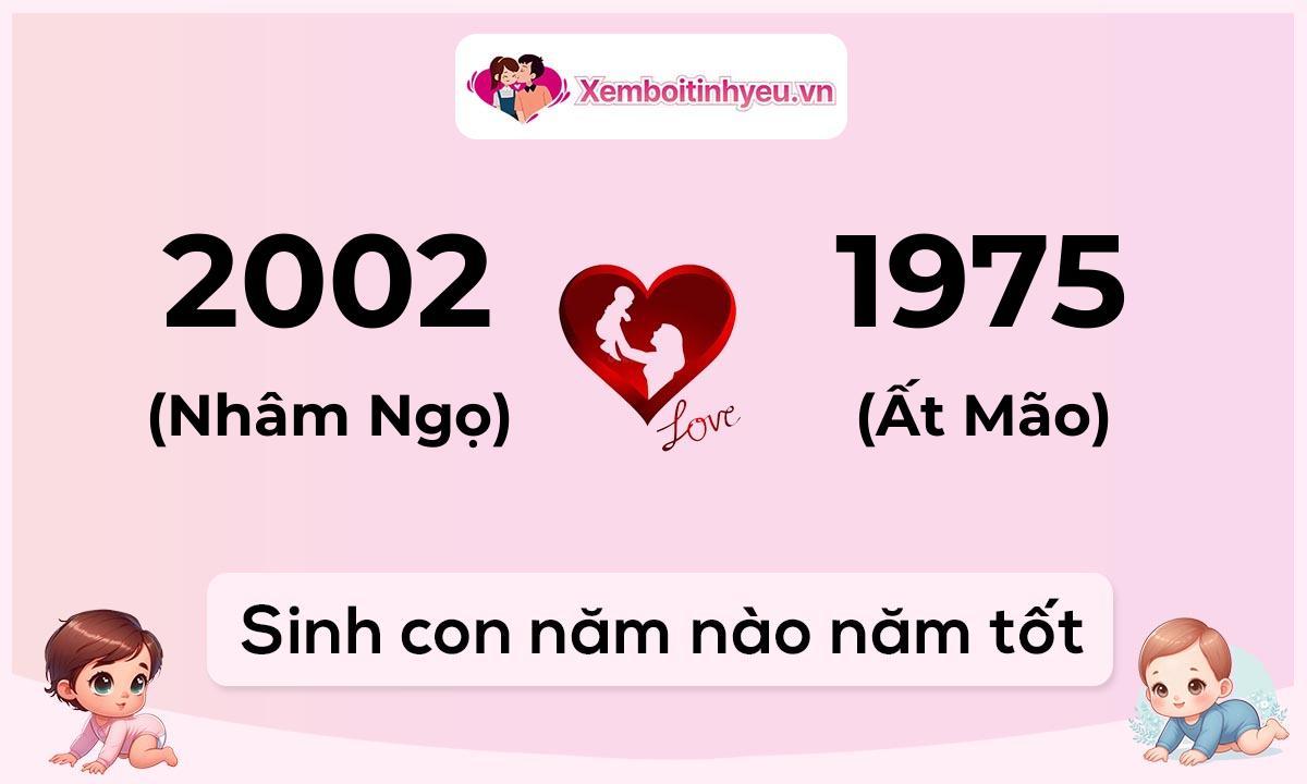 Chồng 2002 tuổi Nhâm Ngọ và vợ 1975 tuổi Ất Mão sinh con năm nào tốt