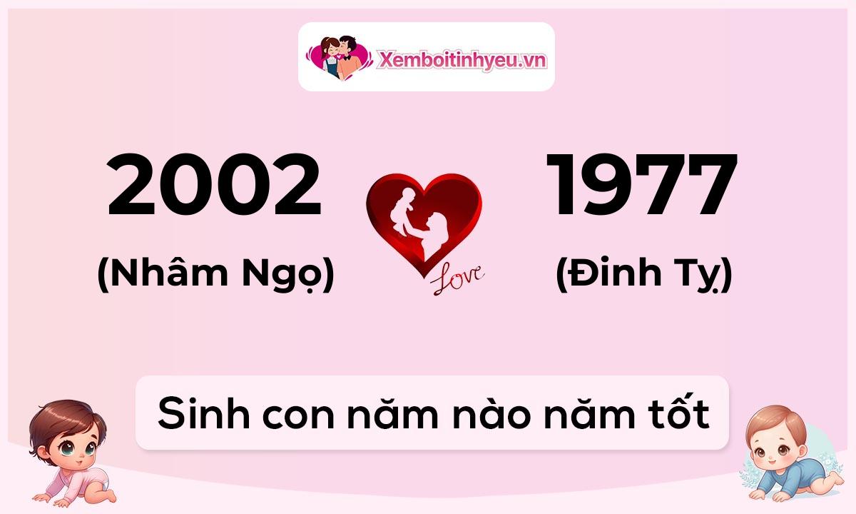 Chồng 2002 tuổi Nhâm Ngọ và vợ 1977 tuổi Đinh Tỵ sinh con năm nào tốt